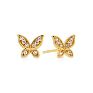 Gold Butterfly Studs